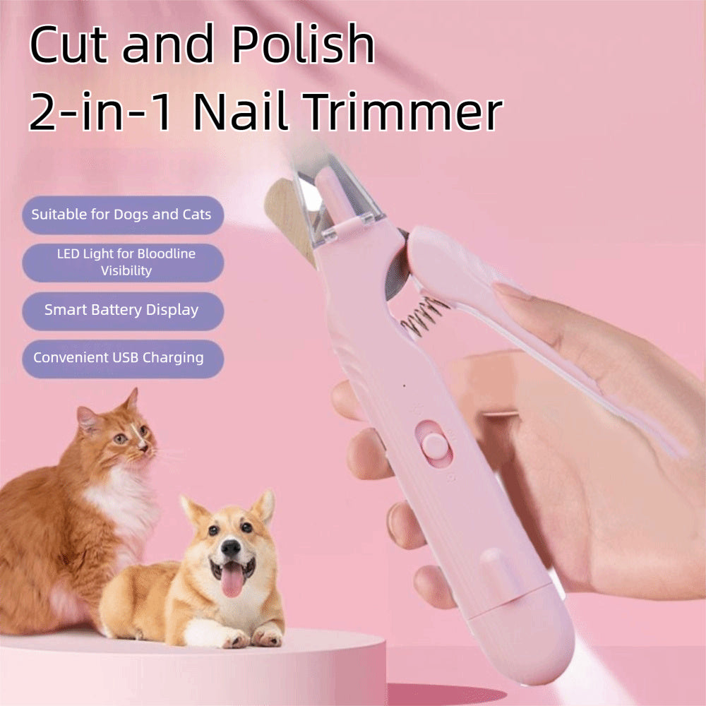 Pet Care & Comfort 🐾